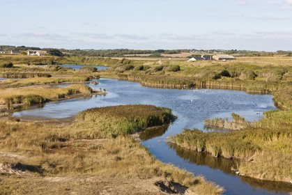 Pond of Loch _Guidel