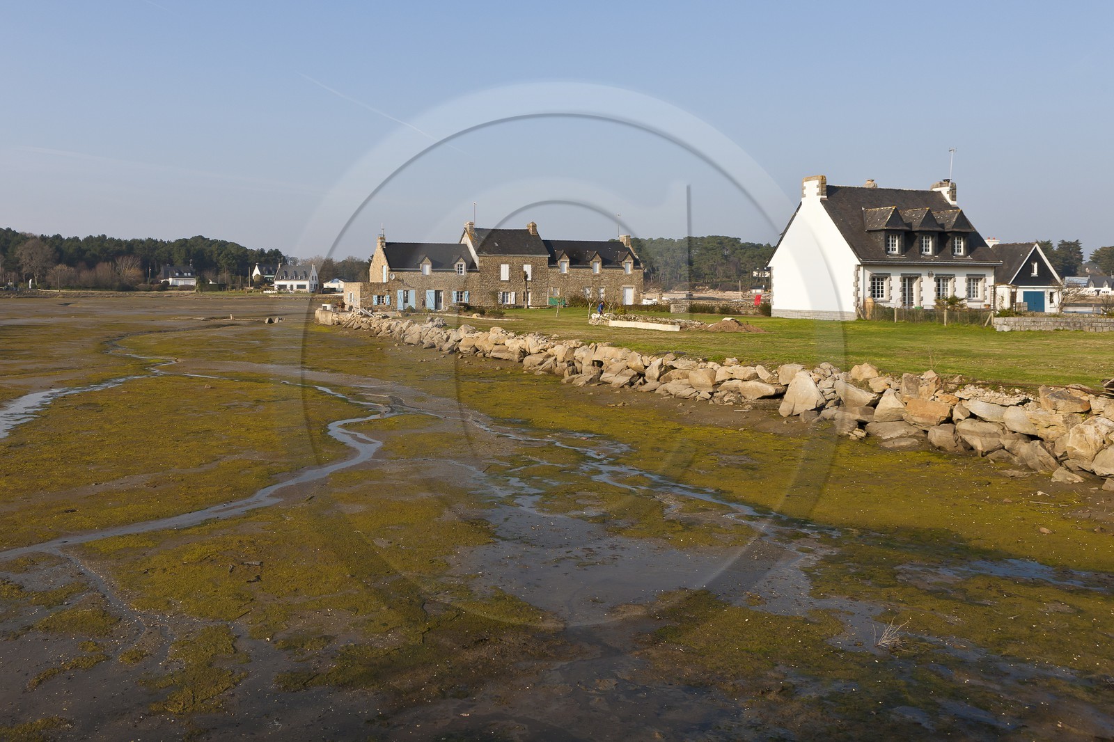 Etang du moulin du Lac _ La Trinite sur mer