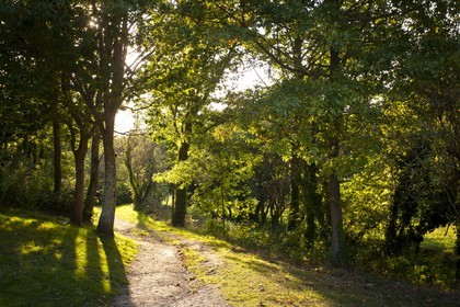 The Valley of Pity_Guidel