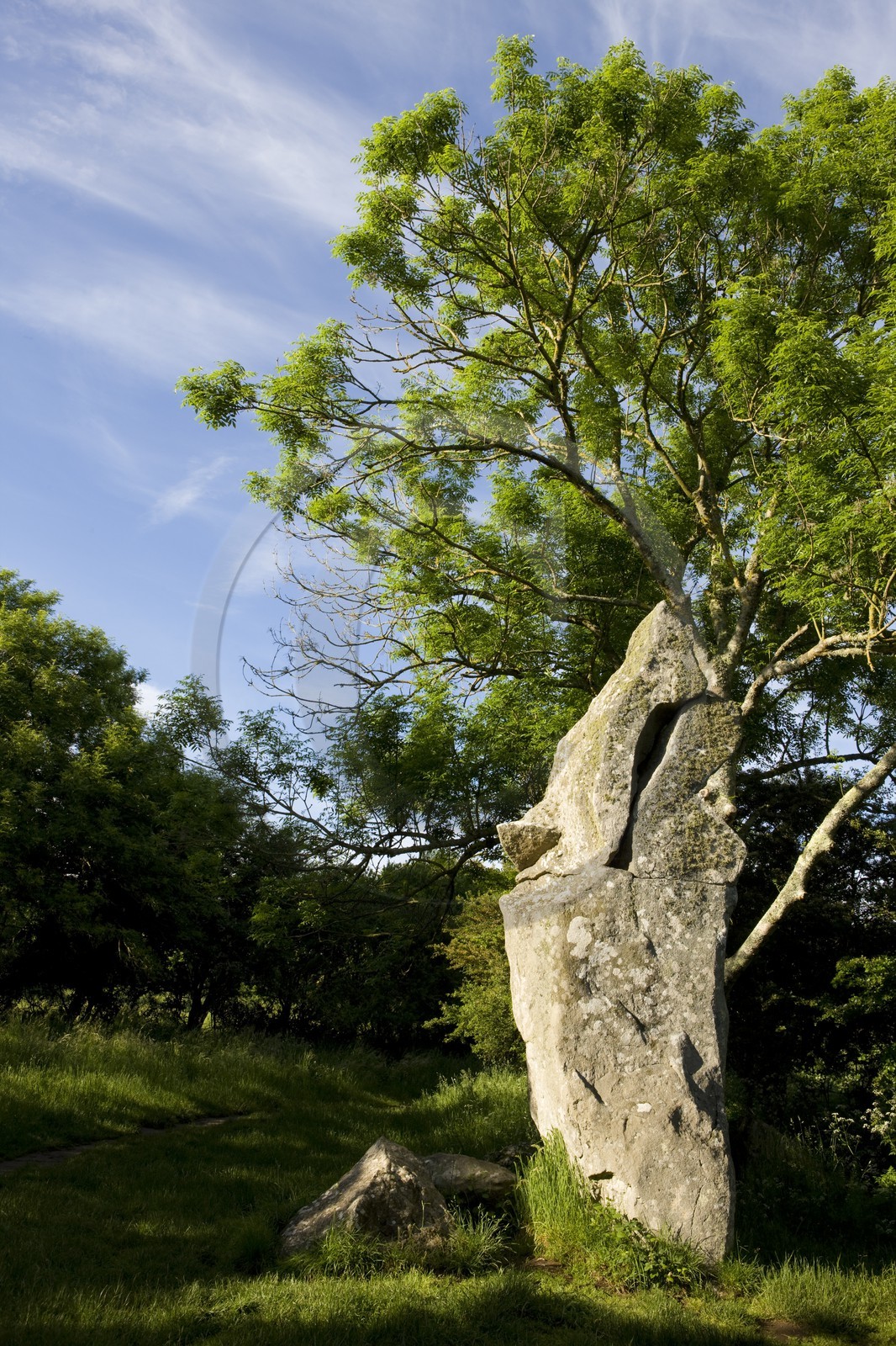 Les géants de Kerzerho_Erdeven