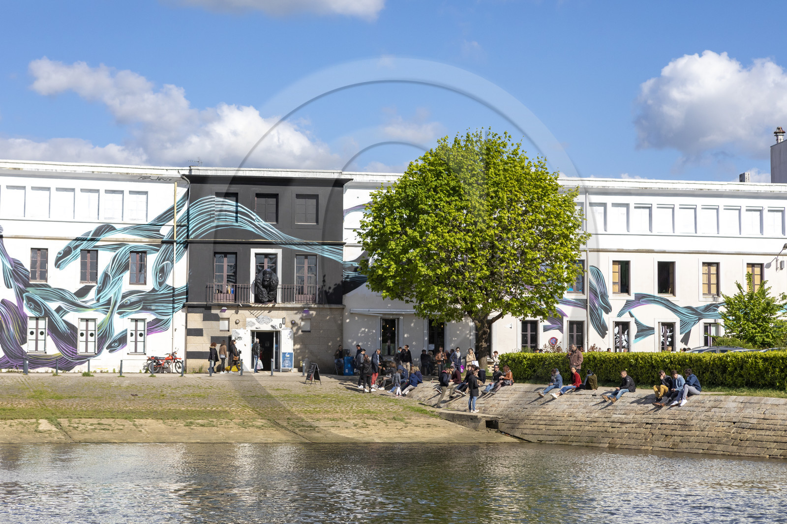 Le Dédale café à Vannes