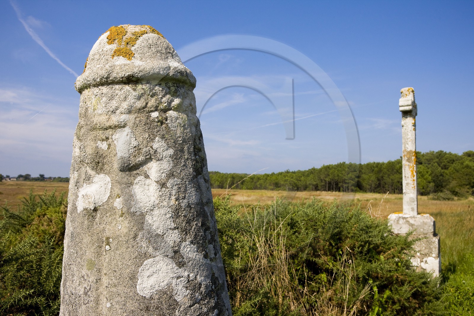 Stèle de Prostlon _ Locoal-Mendon