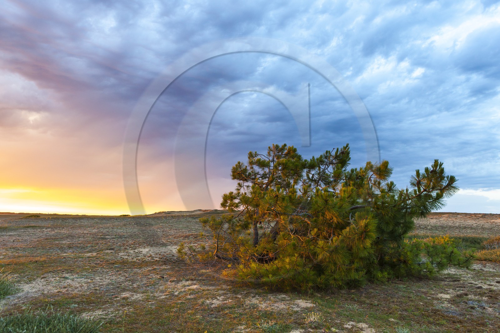 Grand site dunaire Gavres-Quiberon