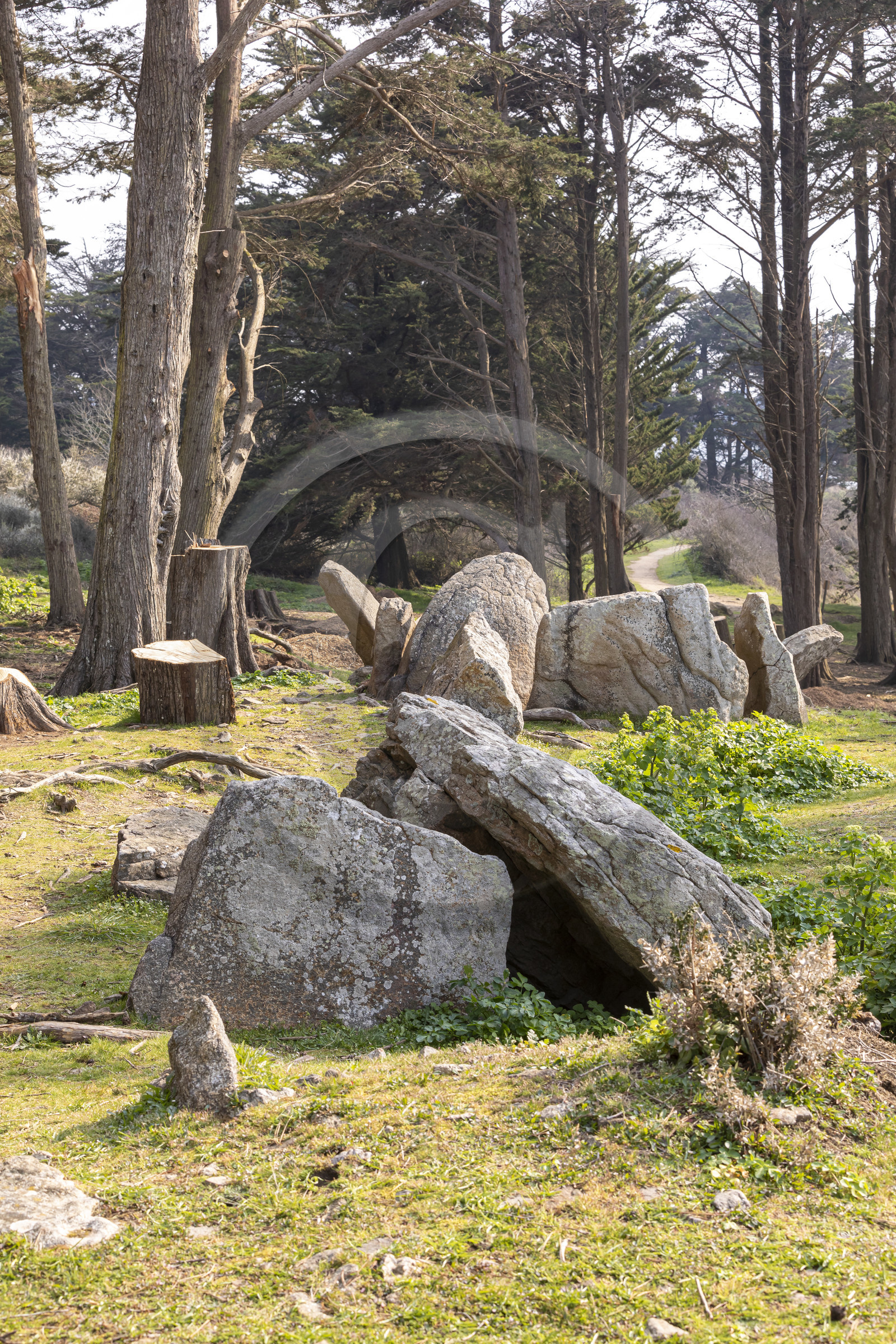 Site mégalithique de Pen Liouse