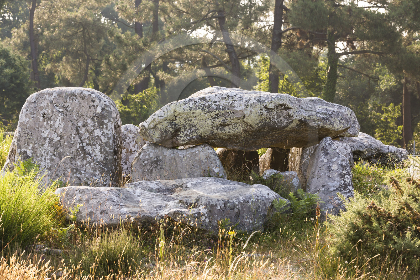 Les alignements de Kermario _ Carnac