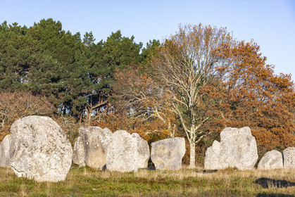 Alignement de Kermario_Carnac