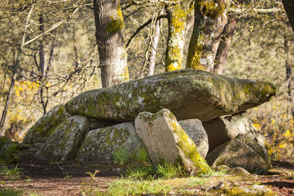 Le dolmen de la Loge au loup à Trédion