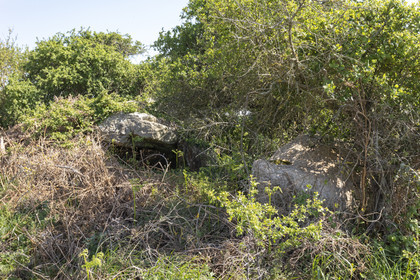 Allée couverte du Net _ Saint-Gildas-de-Rhuys