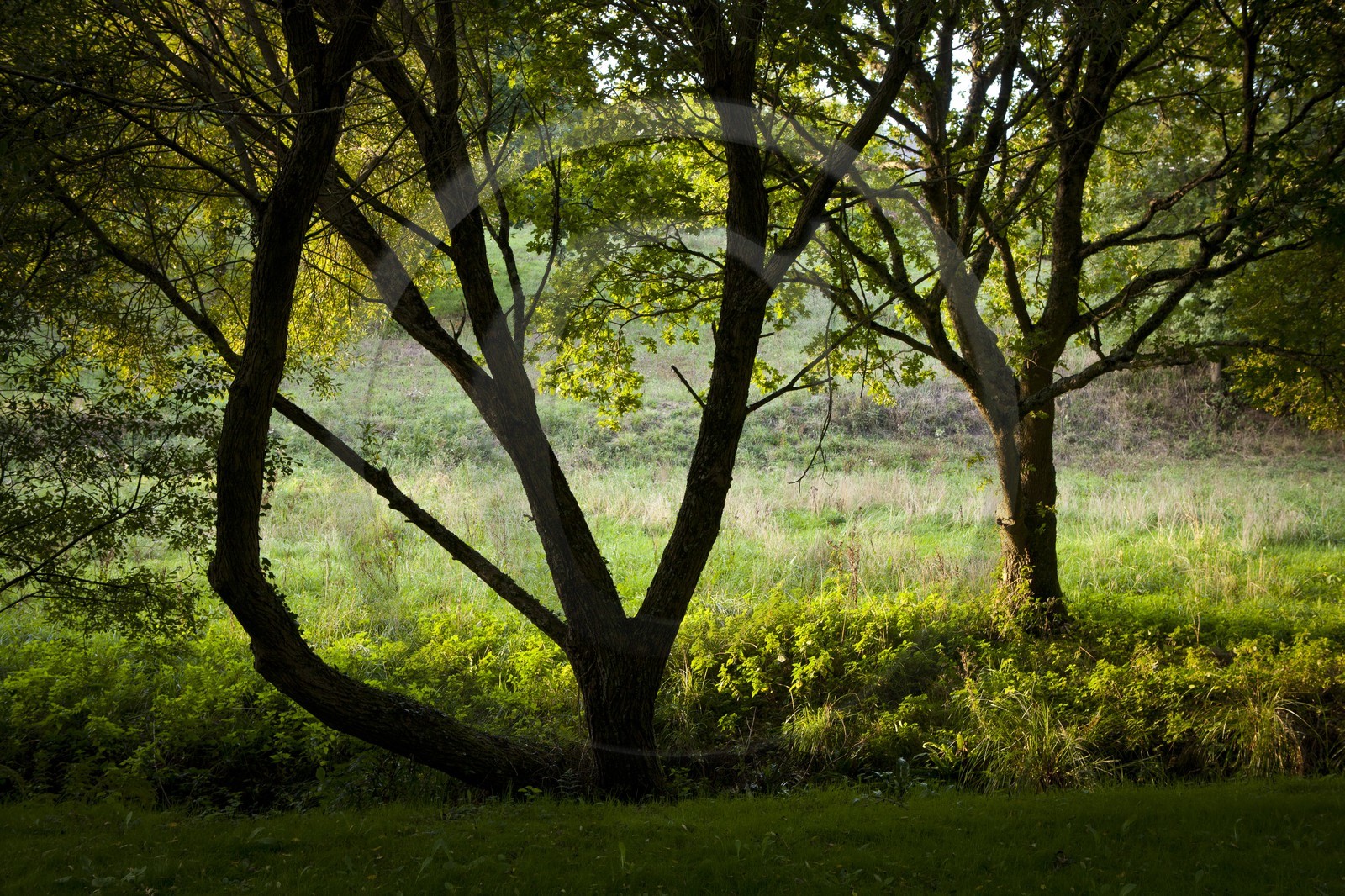 Guidel _ La vallee de la pitie