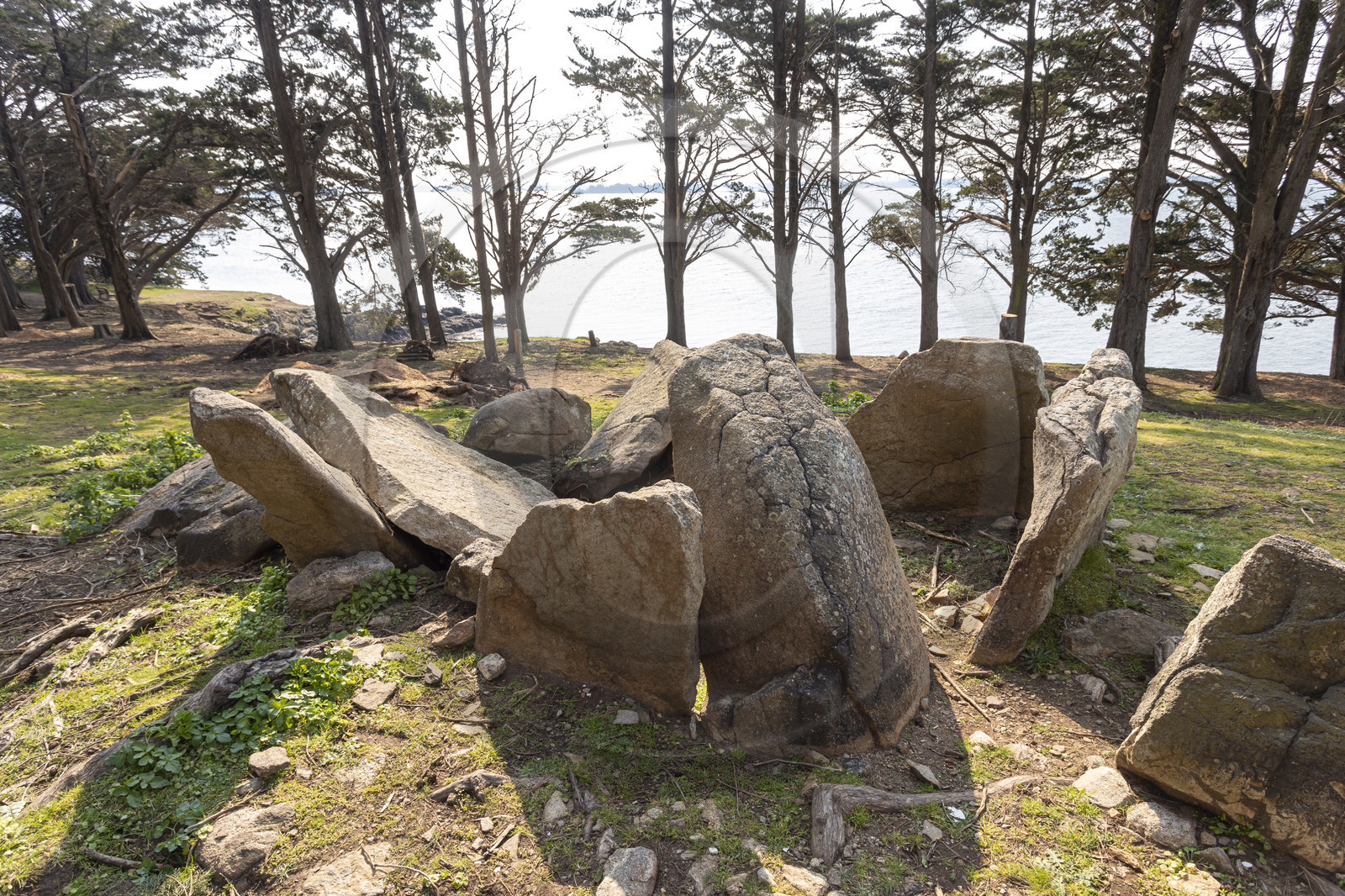 Site mégalithique de Pen Liouse