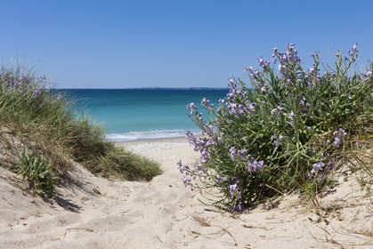 La plage de Lines à Gâvres