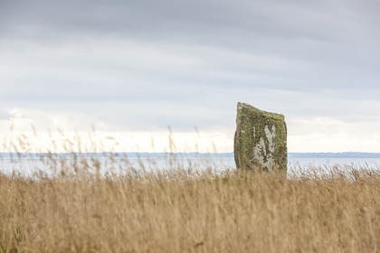 Menhirs de Beg Er Goalennec