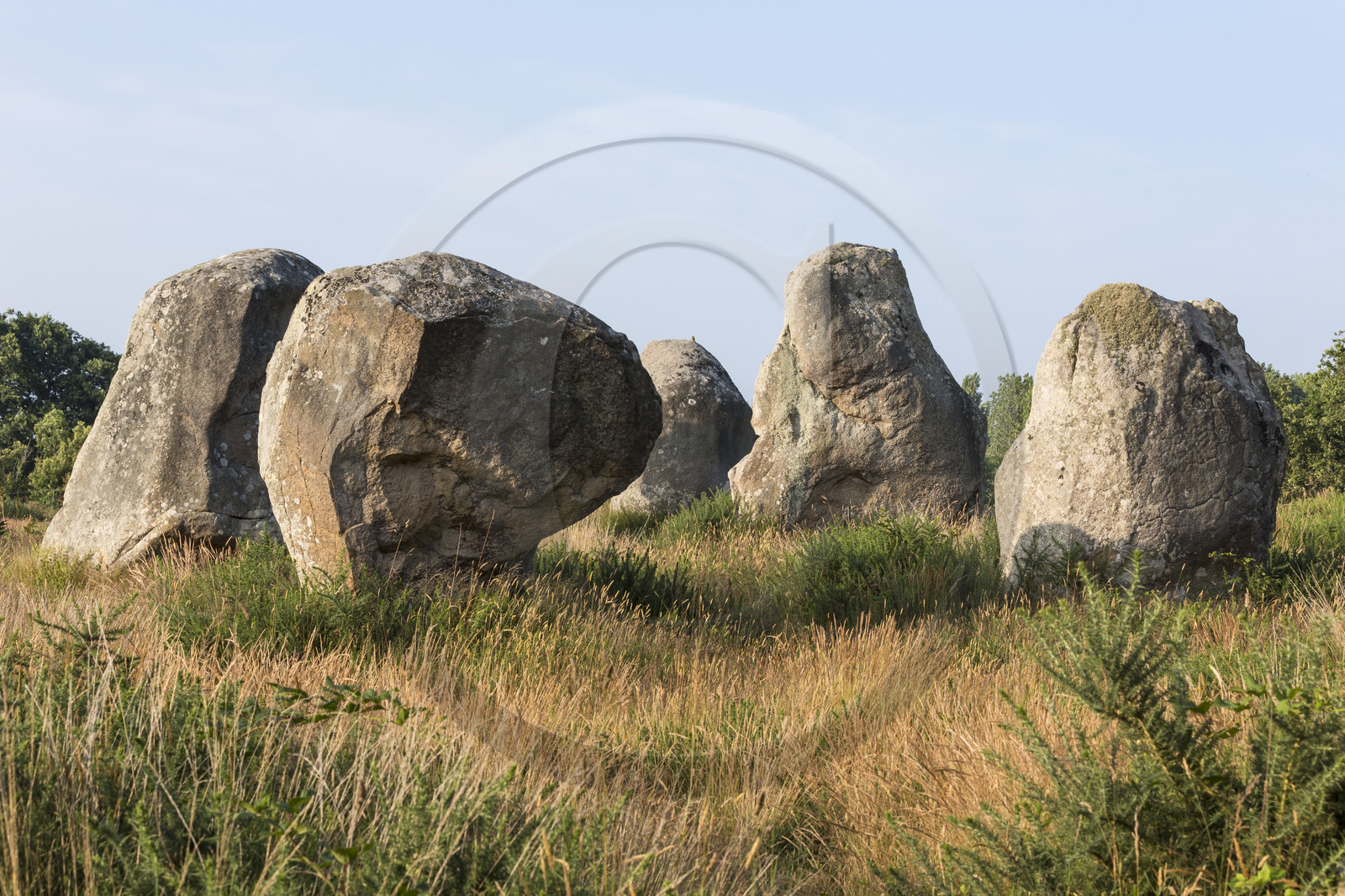 Les alignements de Kermario _ Carnac