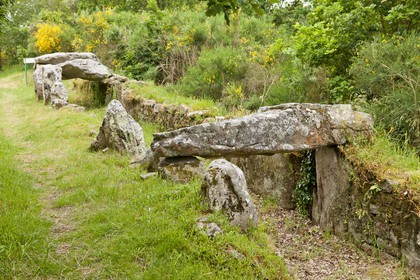SITE ARCHEOLOGIQUE DE MANE ROULARDE _ LA TRINITE SUR MER