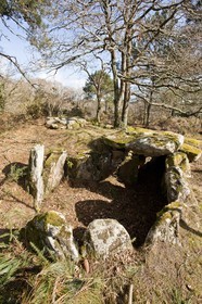 Dolmen de kervilor mane bras. La Trinite su Mer.