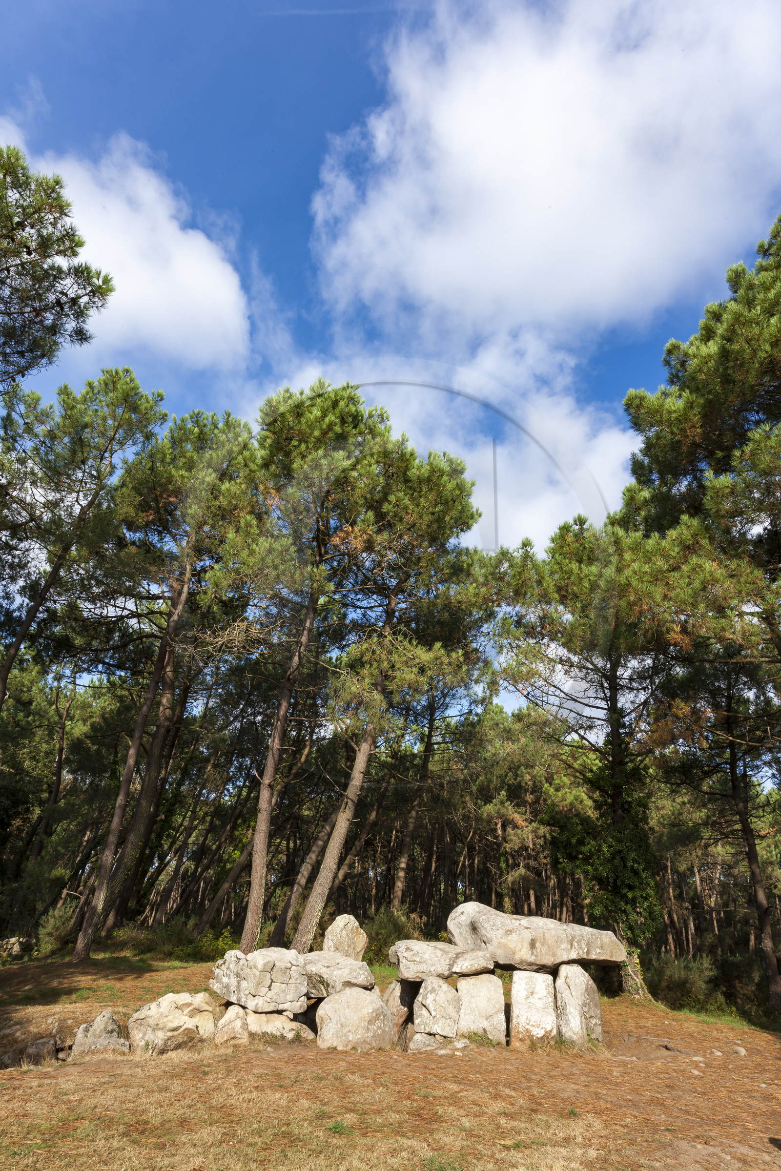 Les dolmens de Mané-Kerioned à Carnac