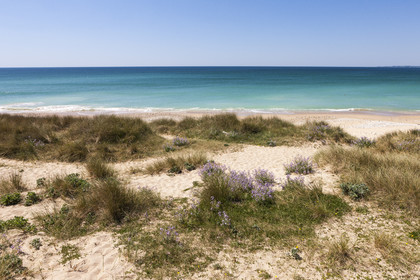 The beach of Lines in Gâvres