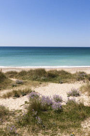 The beach of Lines in Gâvres
