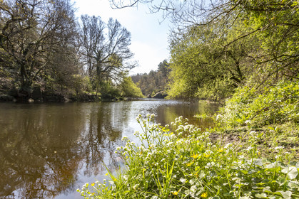 Paysage en bordure du Scorff. Pont-Scorff