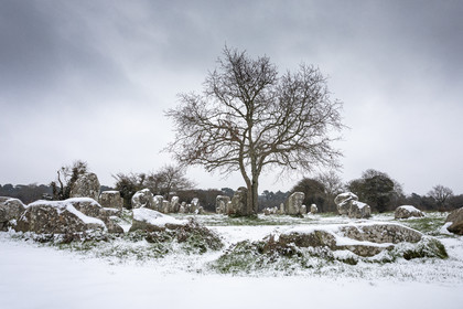 Alignements de Kerzerho _ Erdeven