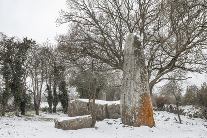 Alignements de Kerzerho _ Erdeven