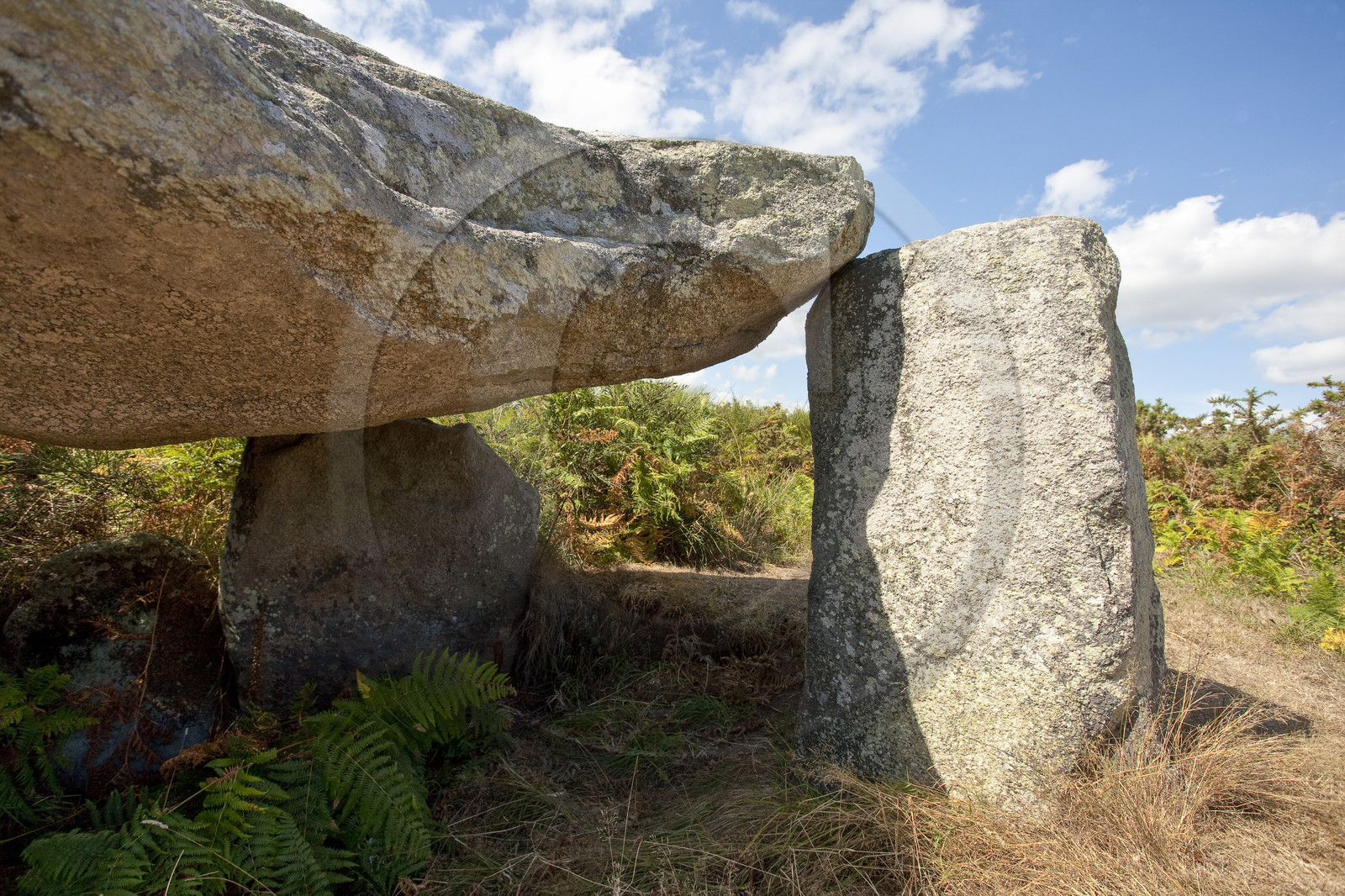 Ploemeur_Dolmen ar Roc' h