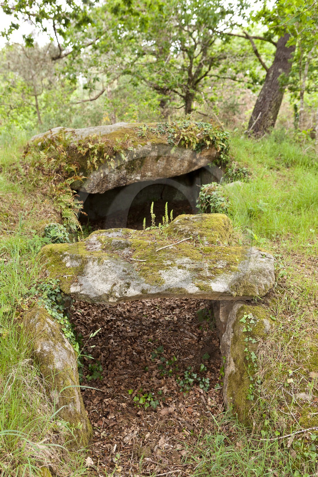 Le dolmen de Mane Bras _ la Trinite sur mer.