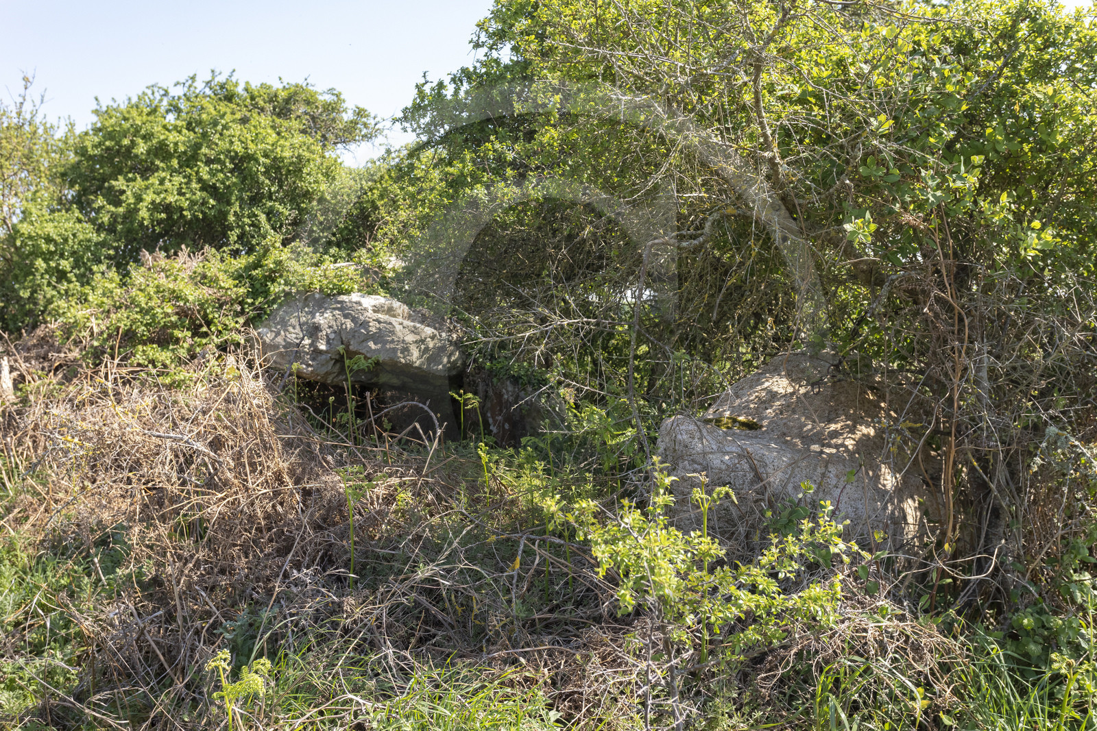 Allée couverte du Net _ Saint-Gildas-de-Rhuys