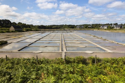 Les marais salant du site de Kervillen. La Trinite sur mer