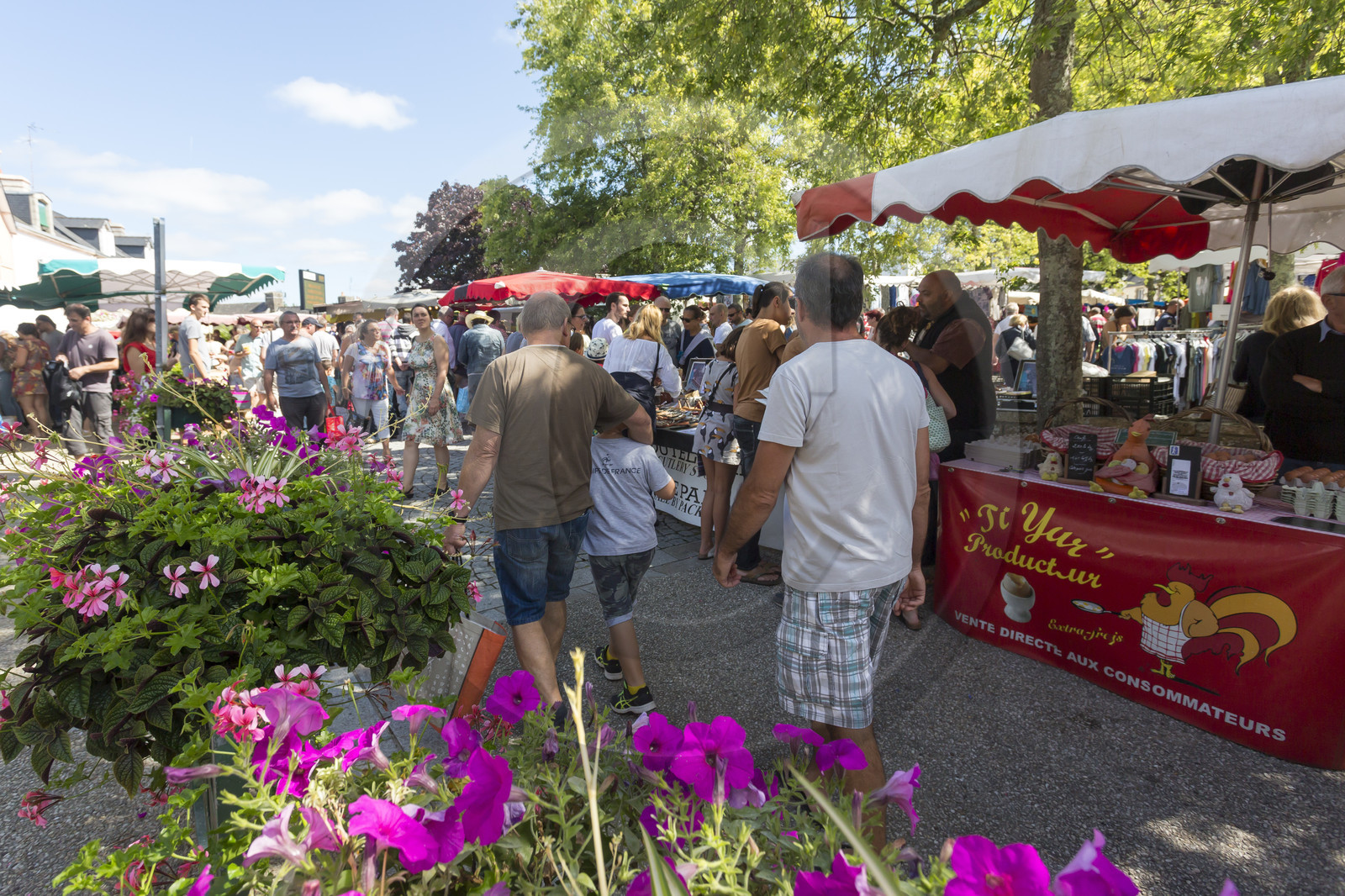 Le marché de Guidel