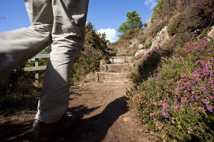 Pedestrian path along the river  La Laïta _Guidel