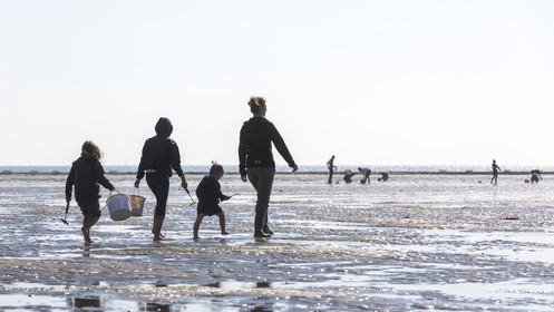 Shellfish gathering_Plouharnel