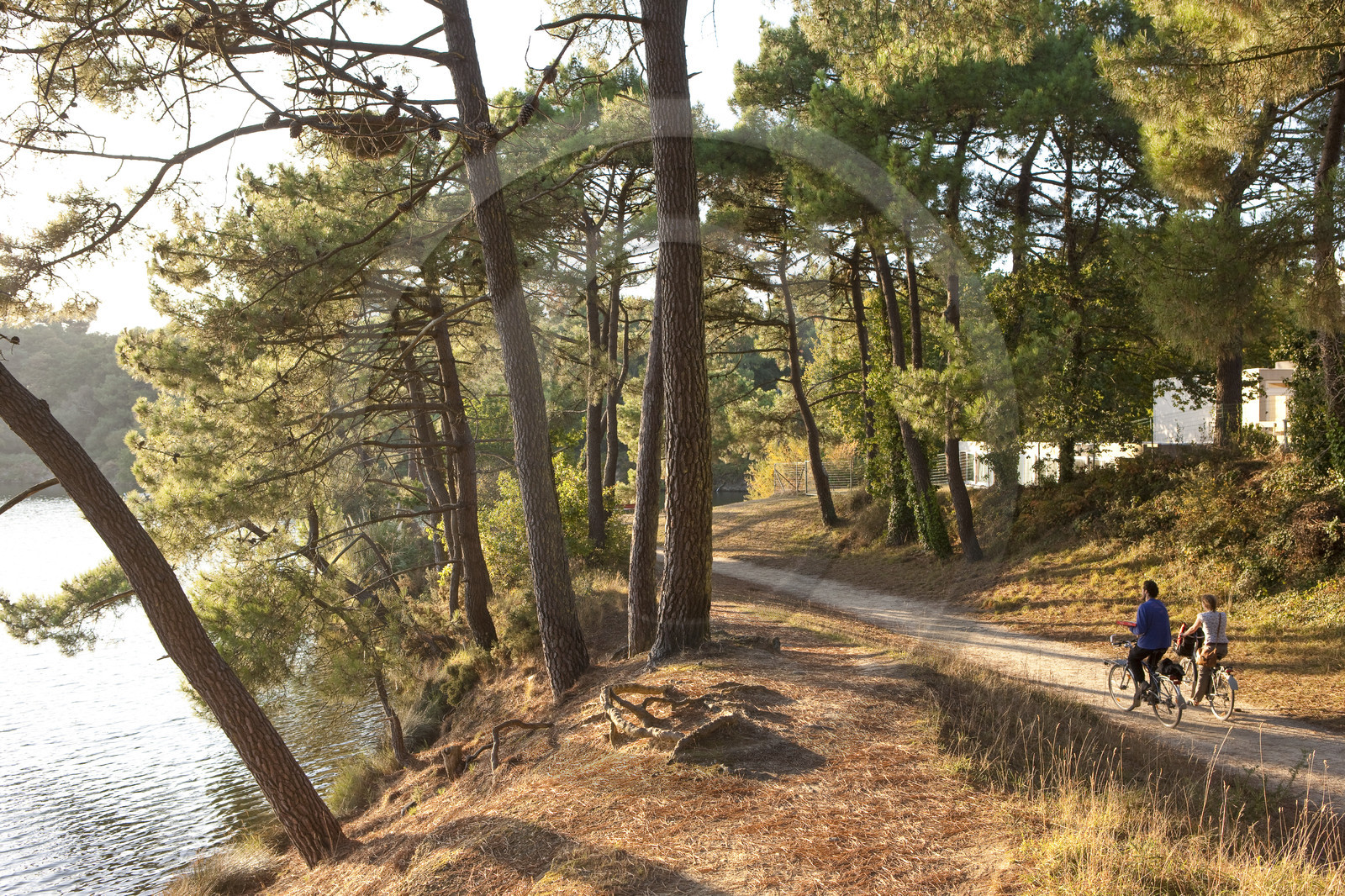étang du Ter à Ploemeur. Morbihan_France
