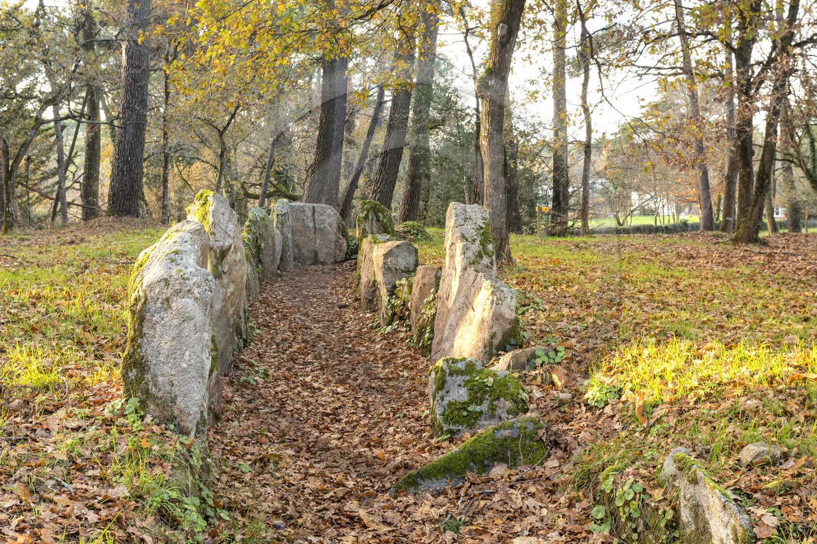 Allée couverte de Luffang Tal-er-Roch à Crach.