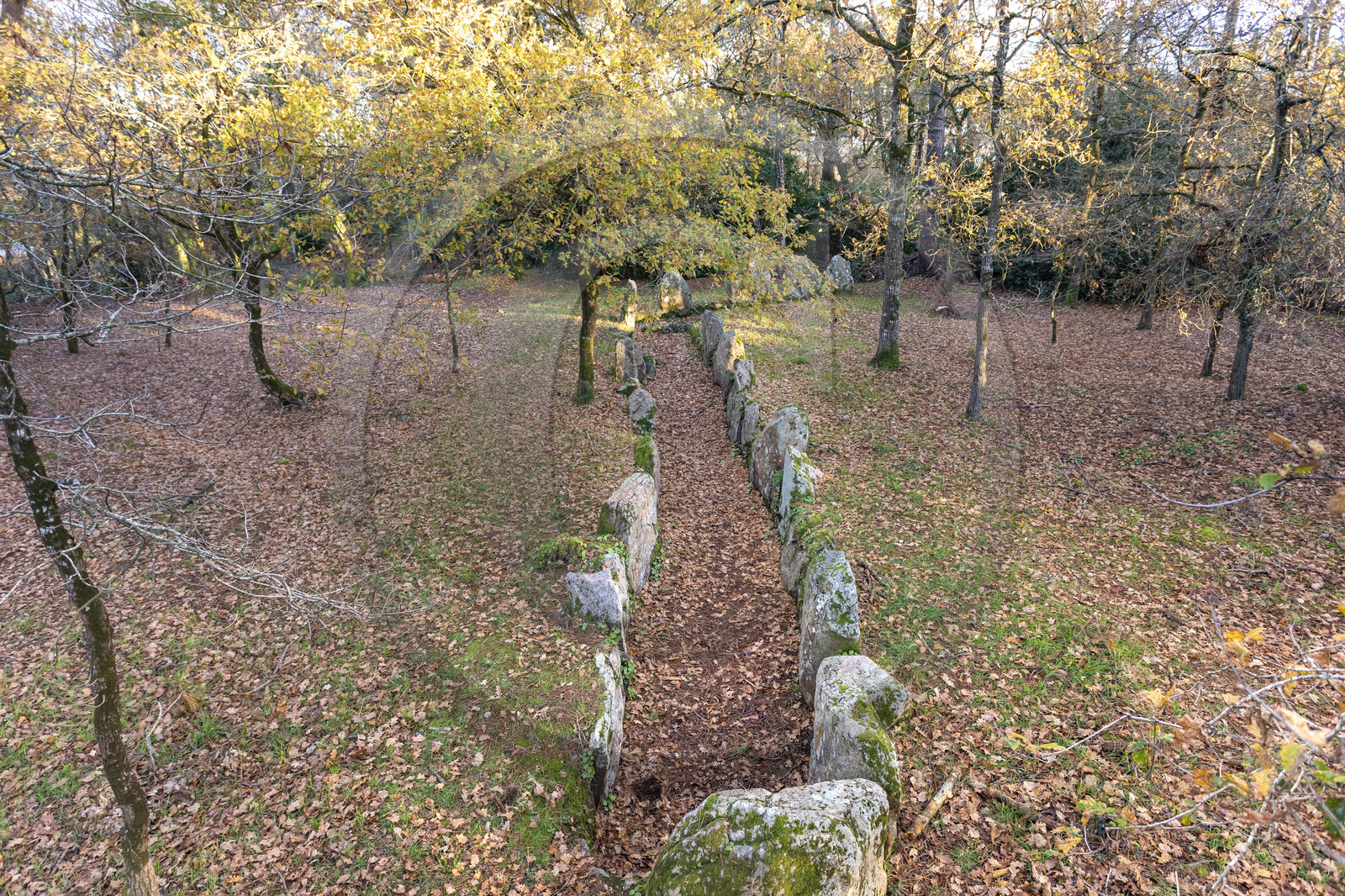Allée couverte de Luffang Tal-er-Roch à Crach.