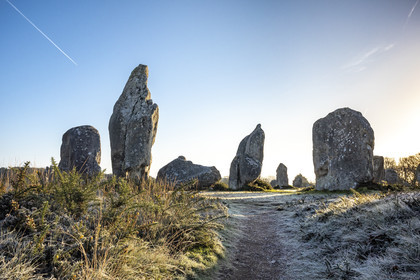 Alignements de Kermario à Carnac
