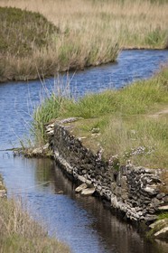 Pond of Loch _Guidel