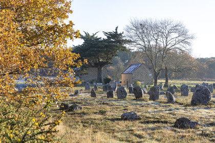 Alignement de Kermario_Carnac