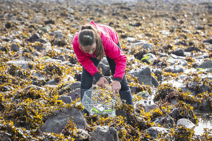 Saint-Michel beach in Erquy
