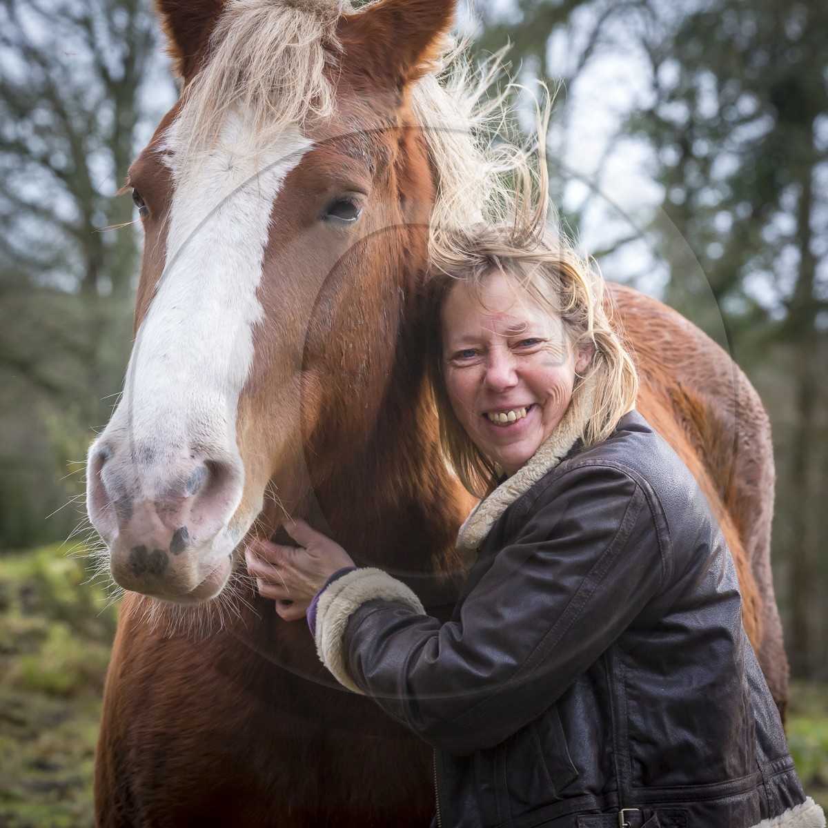 Portrait de Mme Sylvie Dufresne