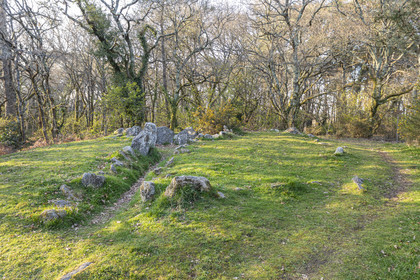 Le site mégalithiques de Mané Bogad à Ploemel