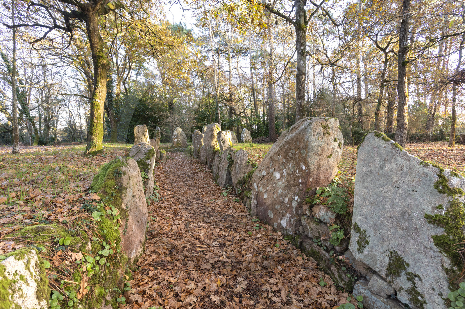 Allée couverte de Luffang Tal-er-Roch à Crach.