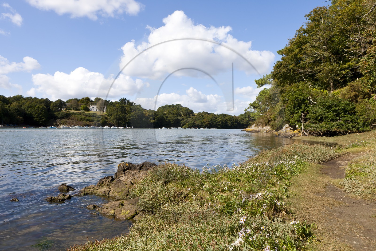 Sentier pedestre en bordure de la Laita_Guidel