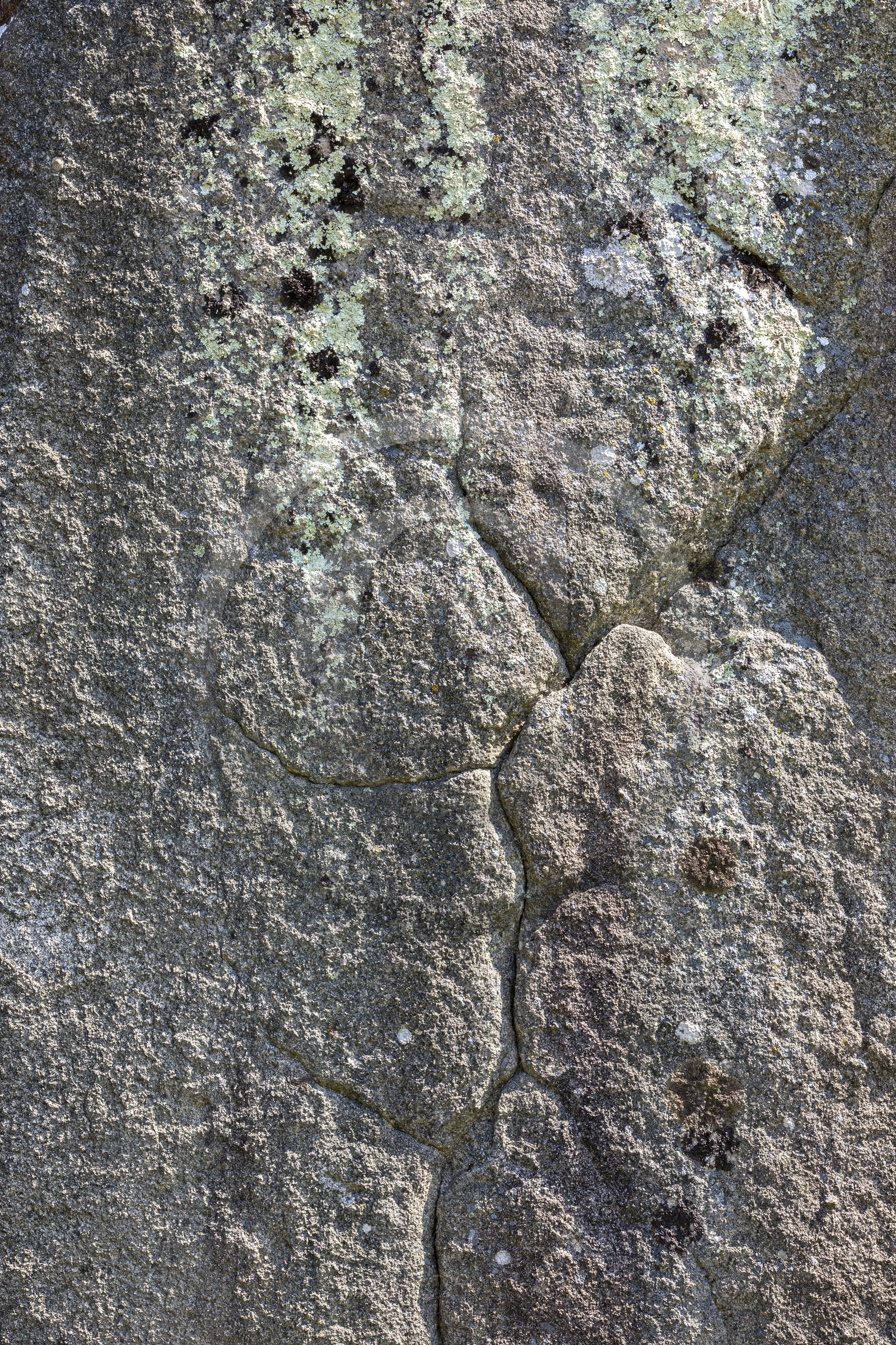 Le menhir de Kermaillard à Sarzeau