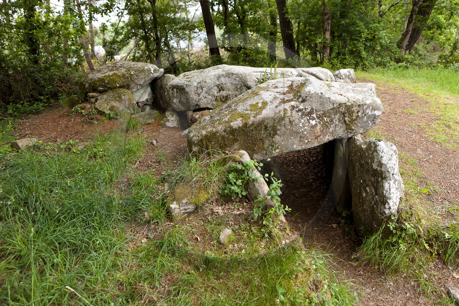 Dolmen de Kermarquer à la Trinité sur Mer