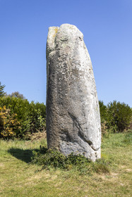 Le menhir de Kermaillard à Sarzeau