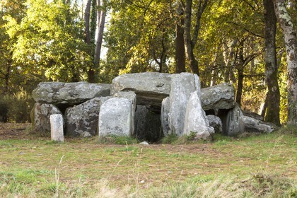 Le dolmen de Mané Groh _ Erdeven