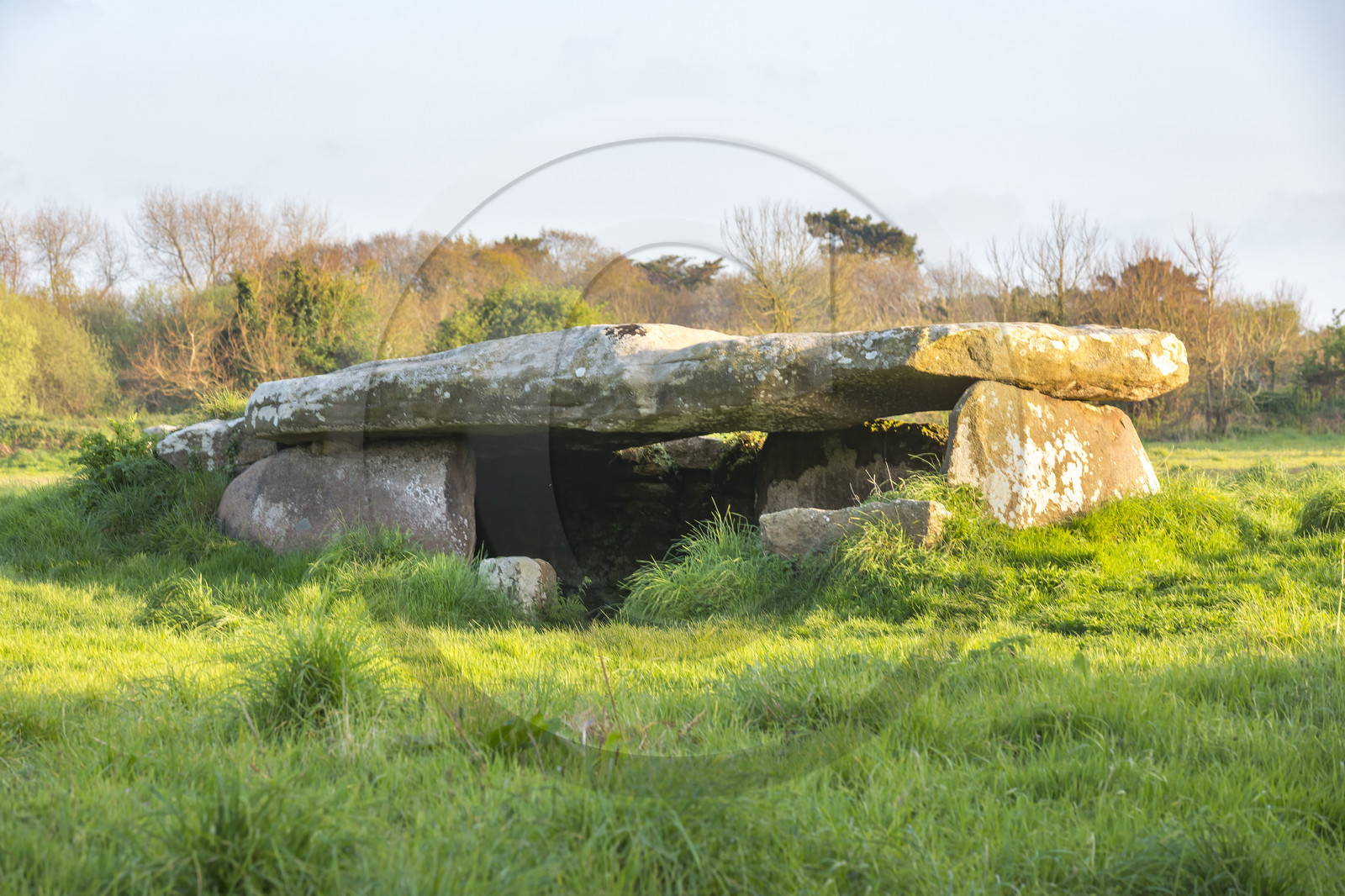 Le Dolmen de Kerguntuil