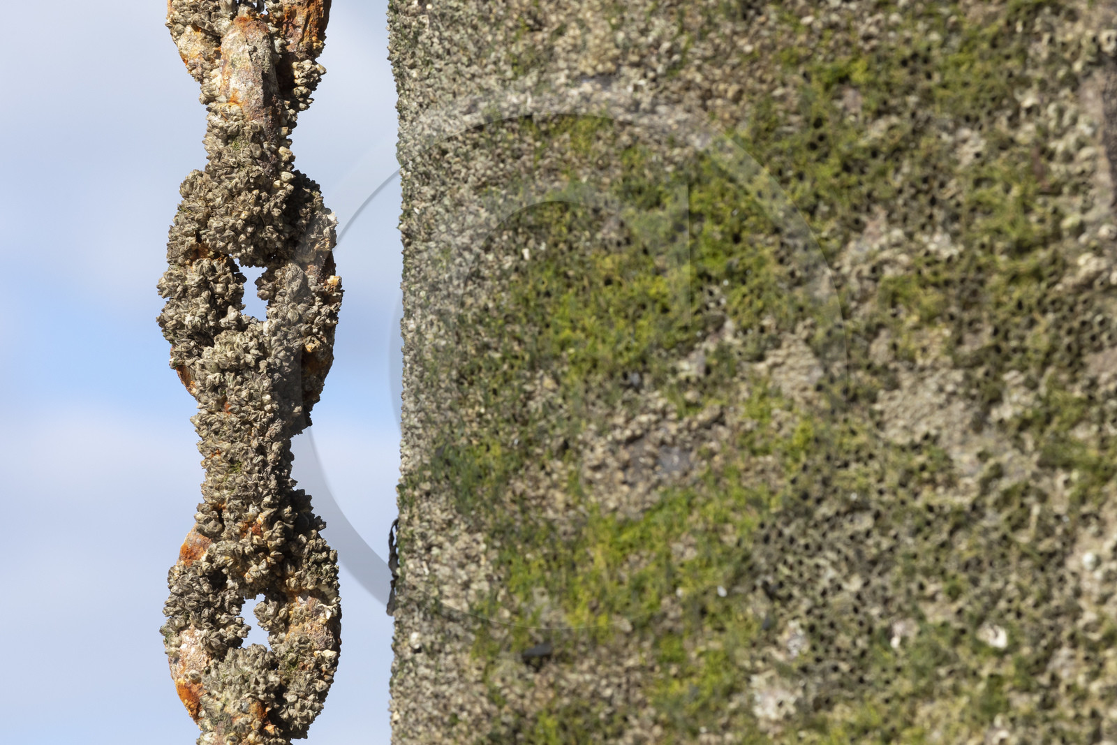 Le port de Gwin Zégal à Plouha