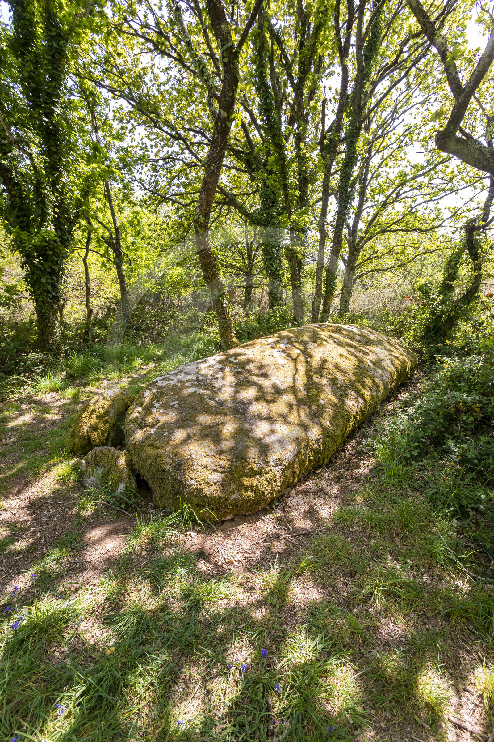 Dolmen de Men Hiaul (Kerblay) à Sarzeau
